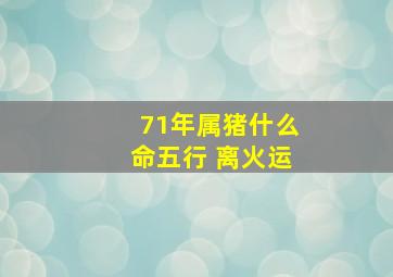 71年属猪什么命五行 离火运